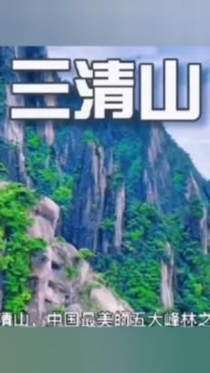 逃离泰莱森林